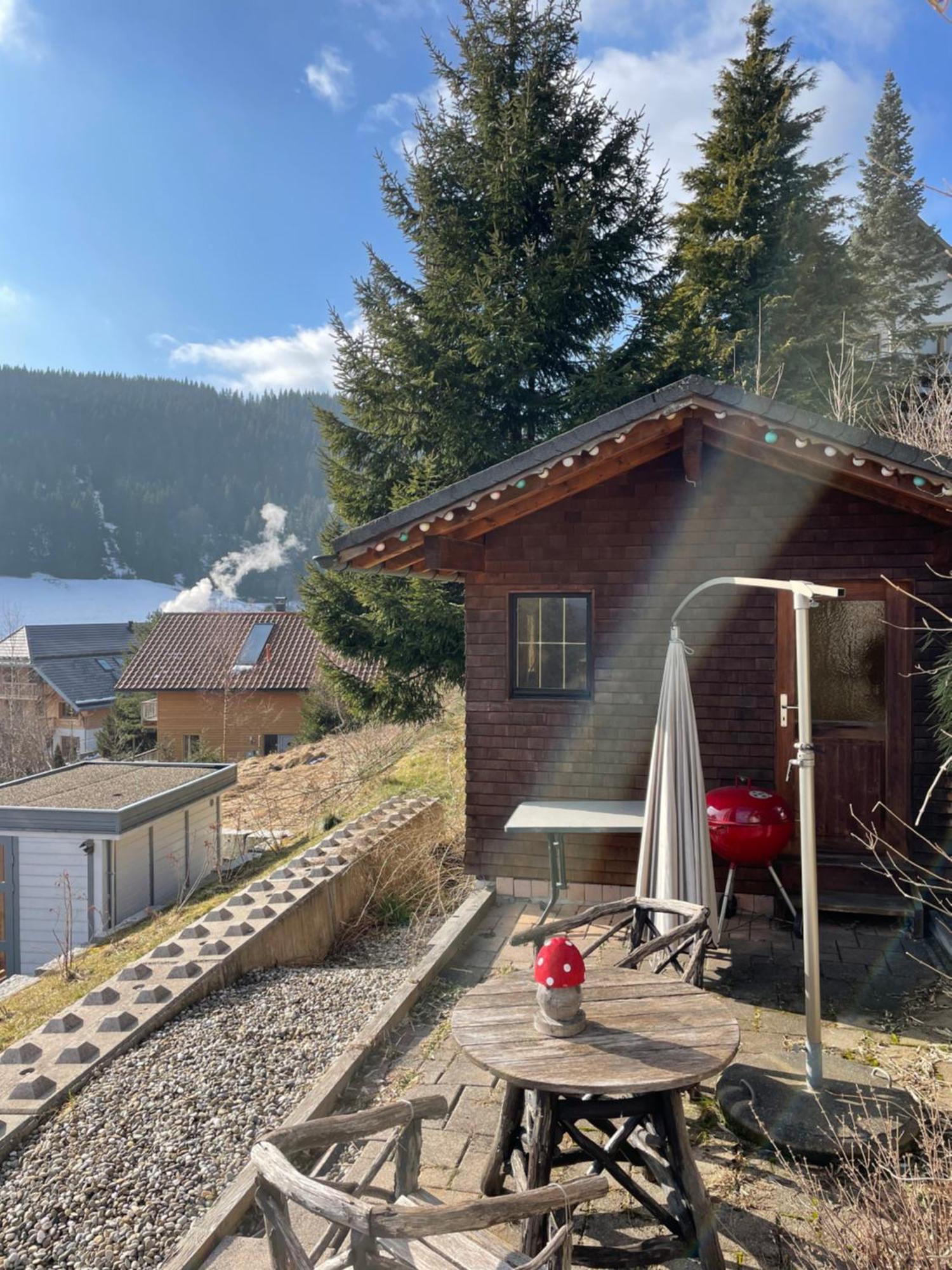 Am Sommerberg - Greschuk Apartments Feldberg  Exterior foto